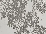 Tree Print Chenille