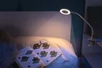 Clip on LED 3 Mode Bendy Light White (2-Pack)